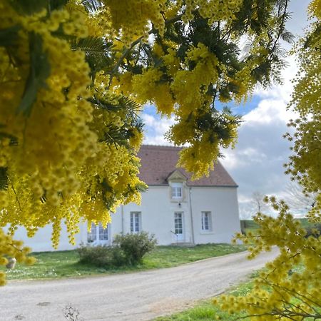 Les Mimosas Gracay Exterior foto