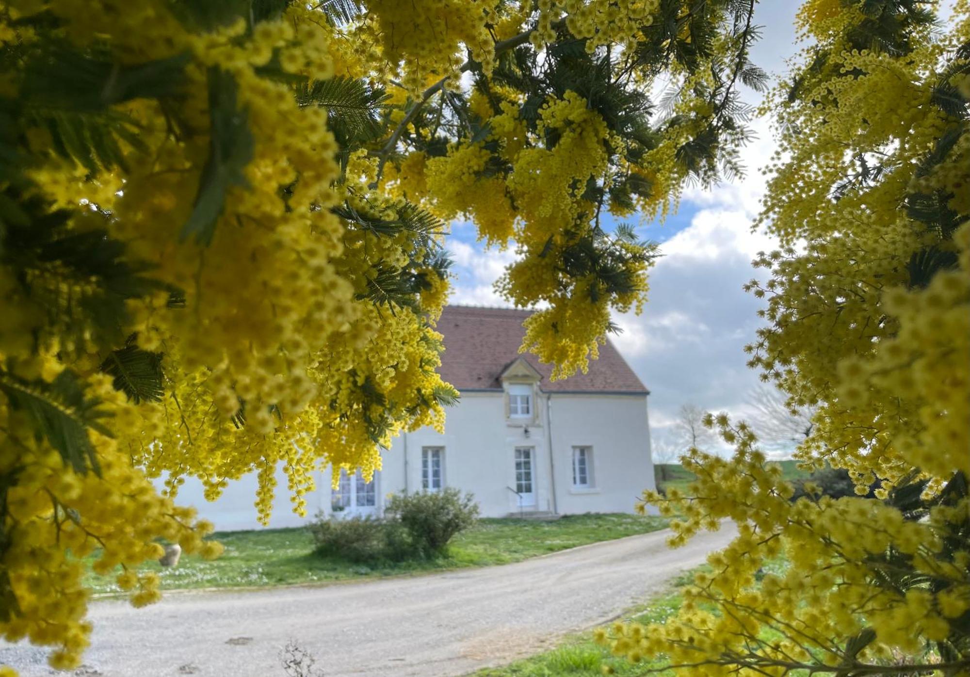 Les Mimosas Gracay Exterior foto